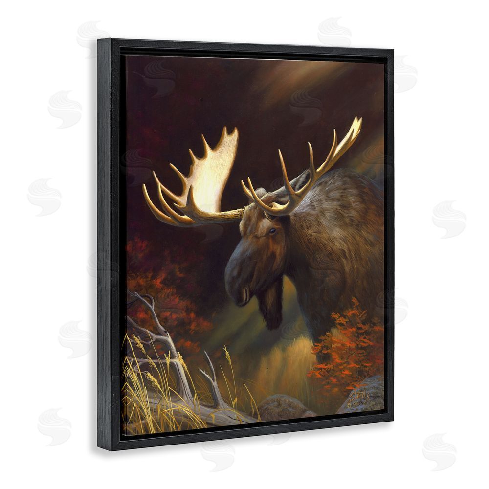 Leo Stans Woodland Moose Portrait Black Floating Frame Canvas Wall Art Print