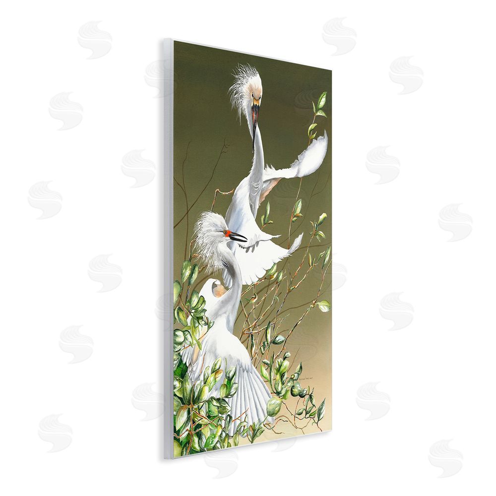 Christine Reichow Egrets Flapping Wings