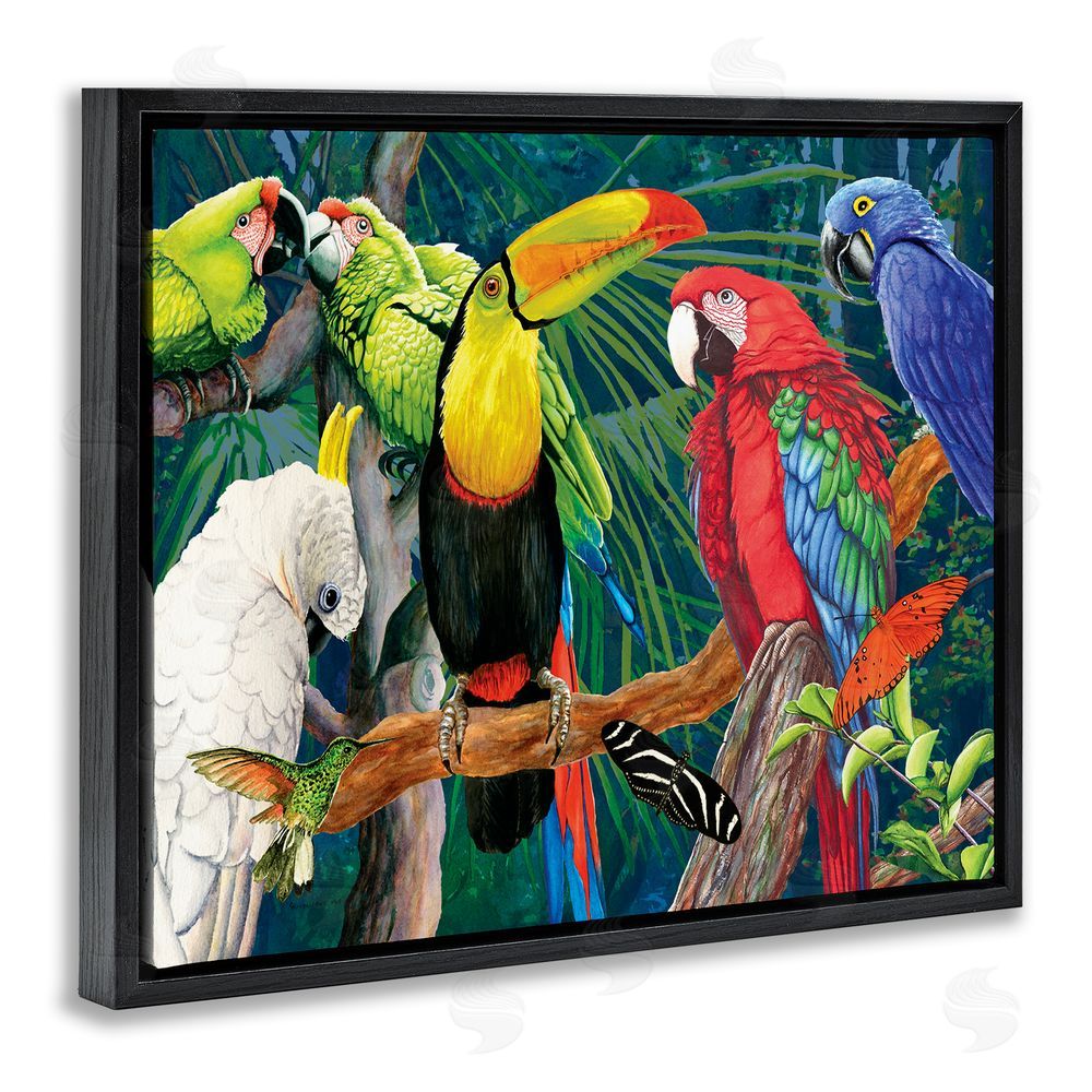 Christine Reichow Tropical Rainforest Birds