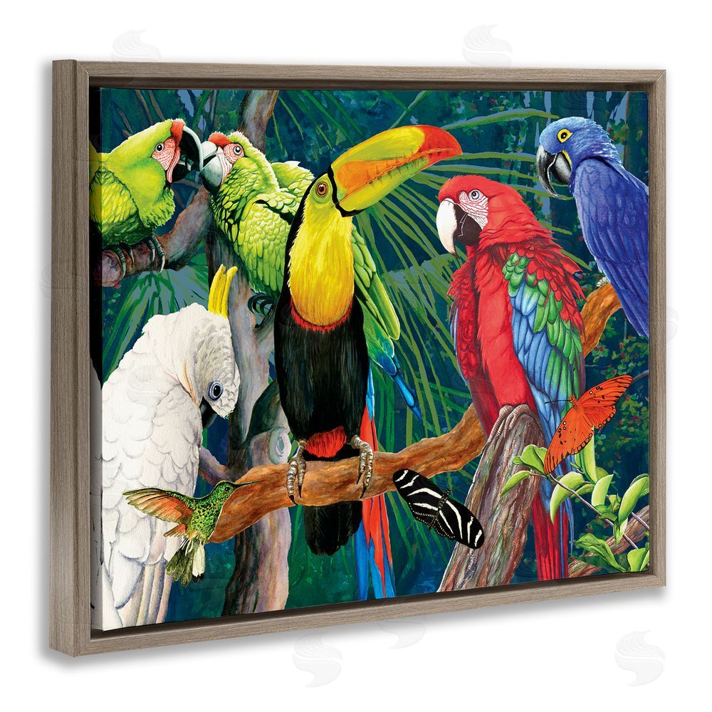 Christine Reichow Tropical Rainforest Birds