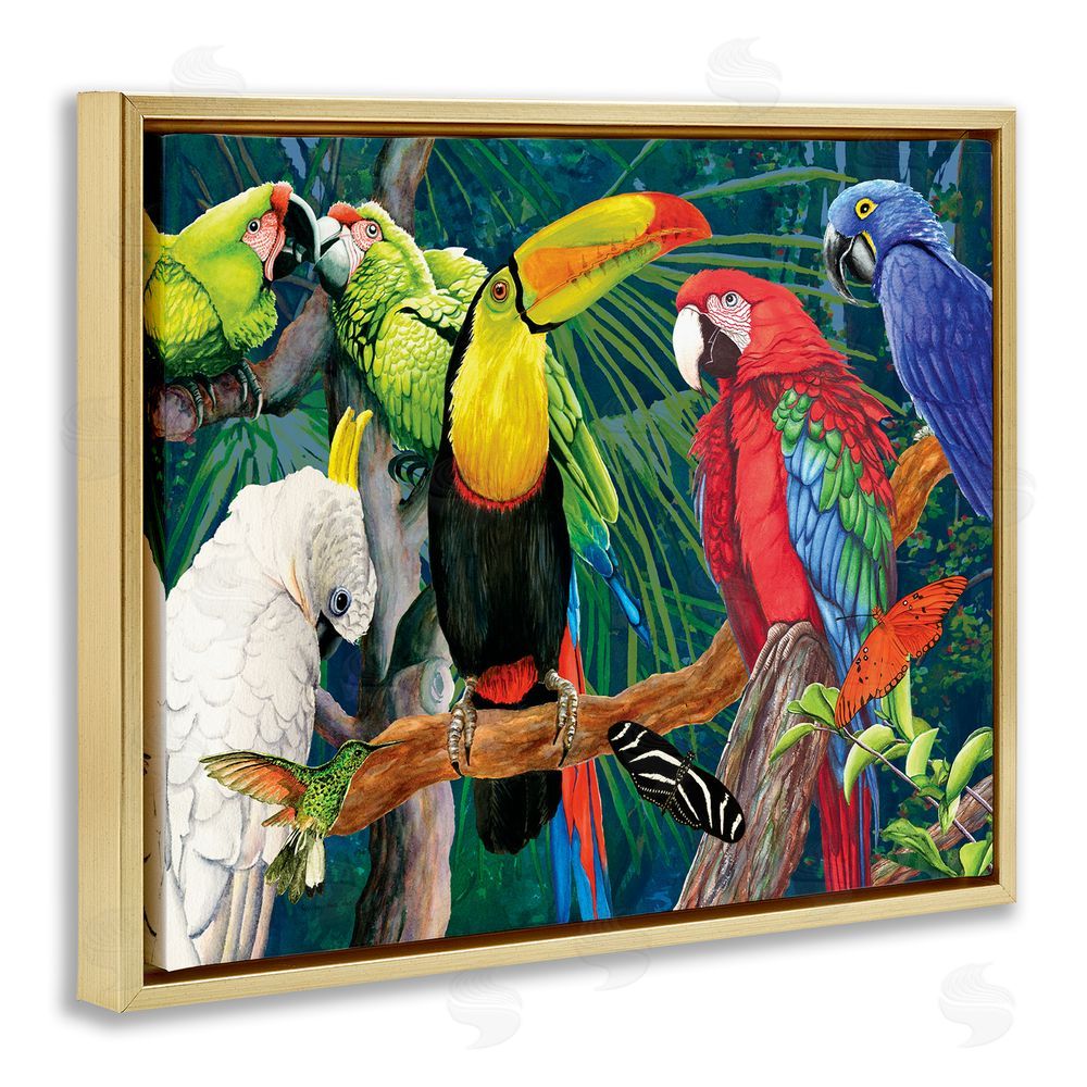 Christine Reichow Tropical Rainforest Birds