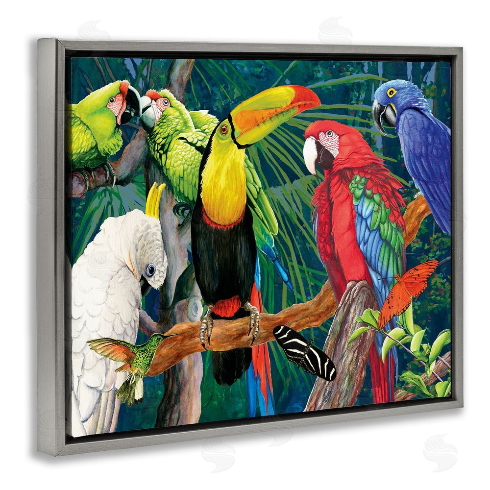 Christine Reichow Tropical Rainforest Birds