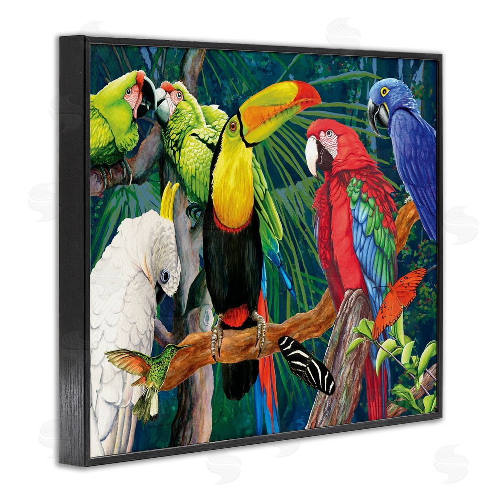 Christine Reichow Tropical Rainforest Birds