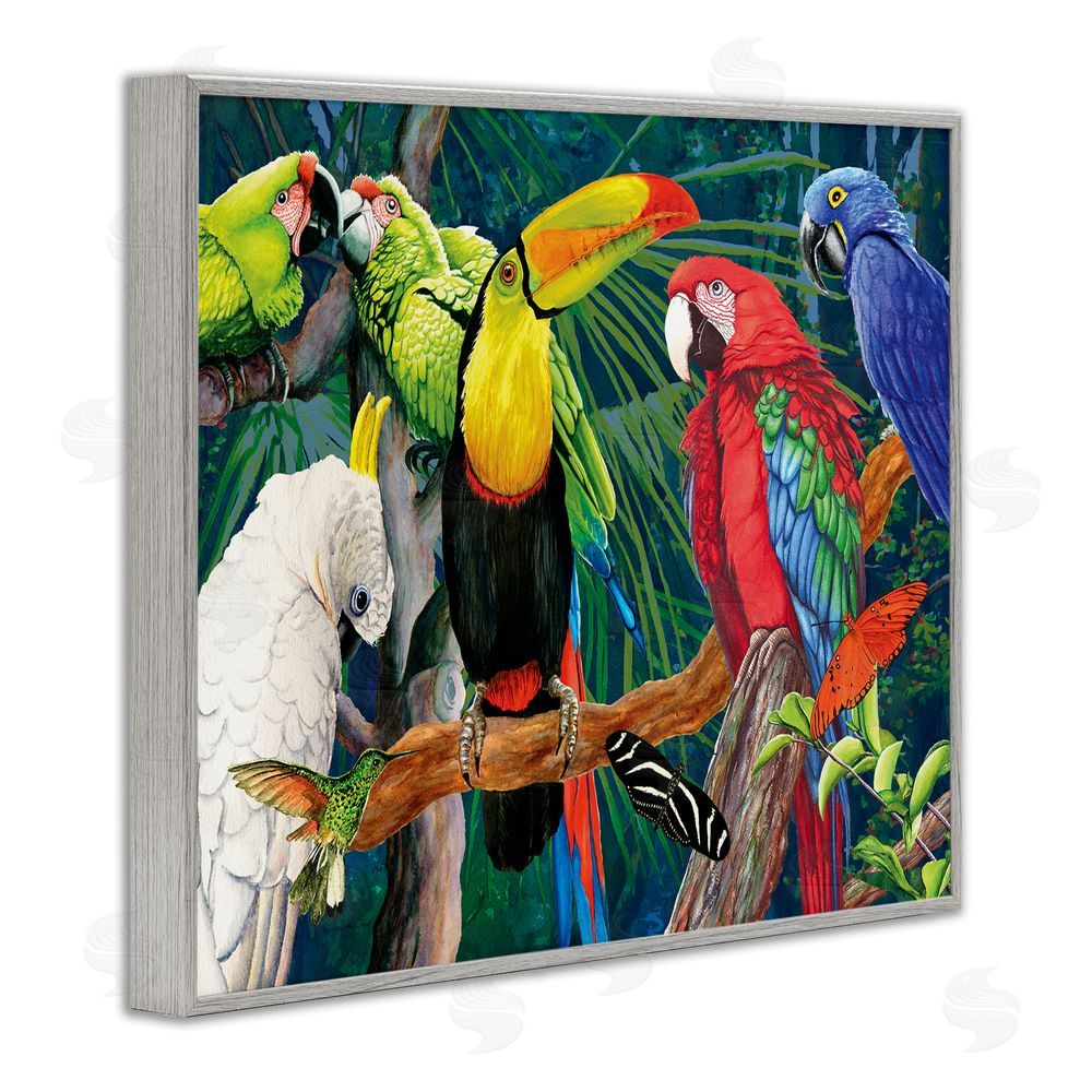 Christine Reichow Tropical Rainforest Birds