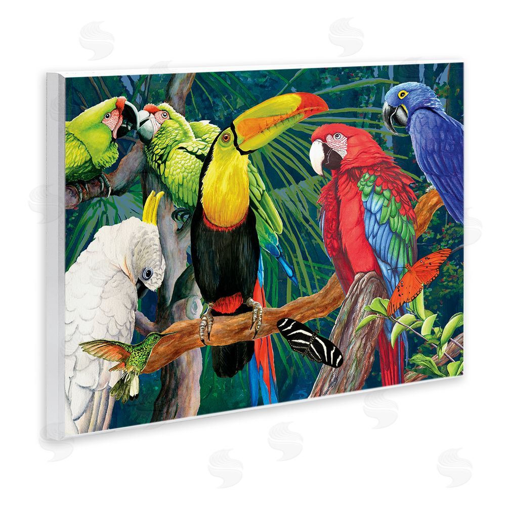 Christine Reichow Tropical Rainforest Birds