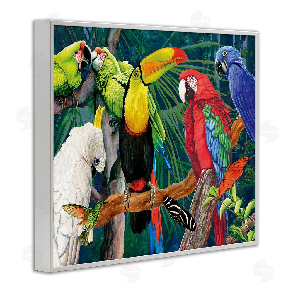 Christine Reichow Tropical Rainforest Birds