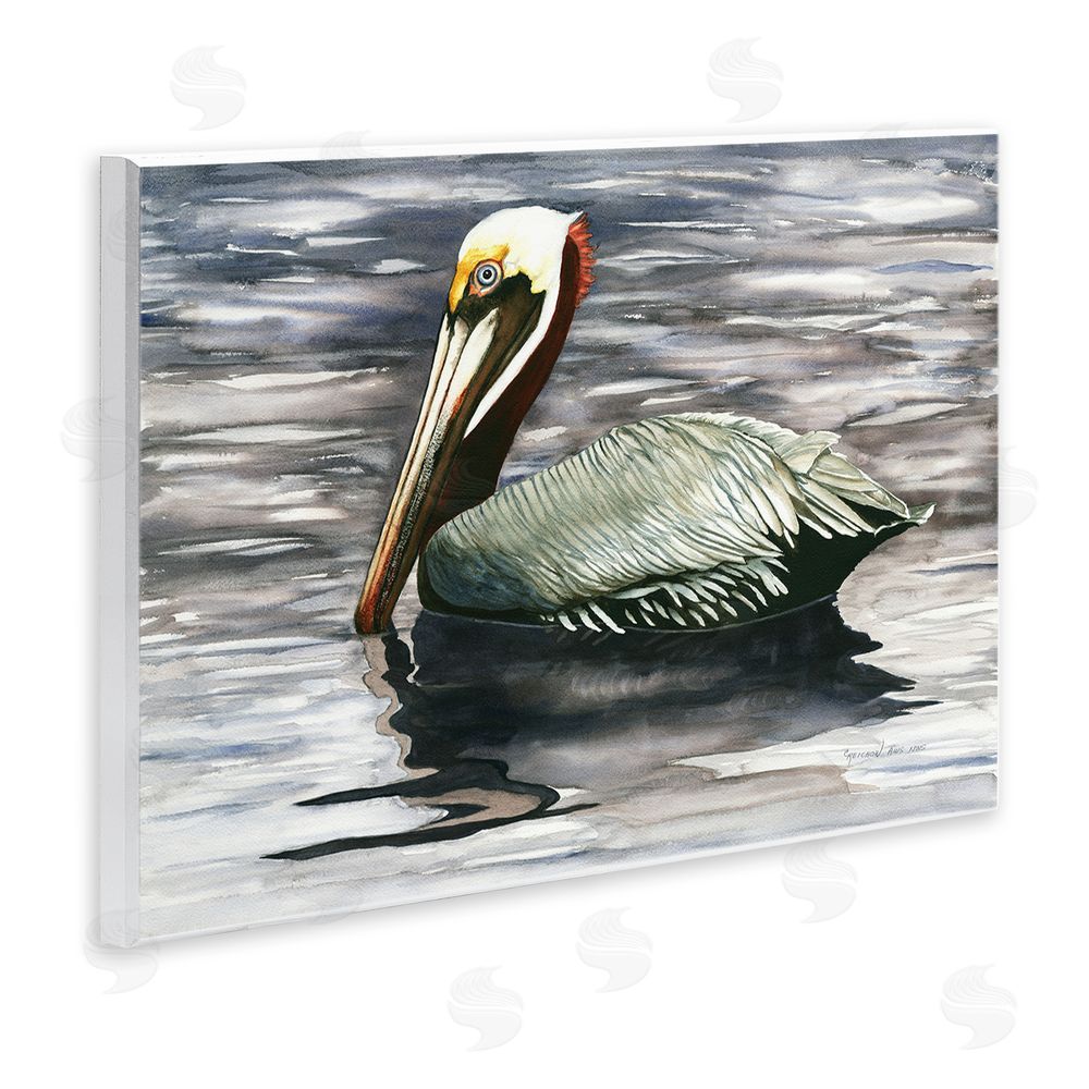 Christine Reichow Swimming Nautical Pelican