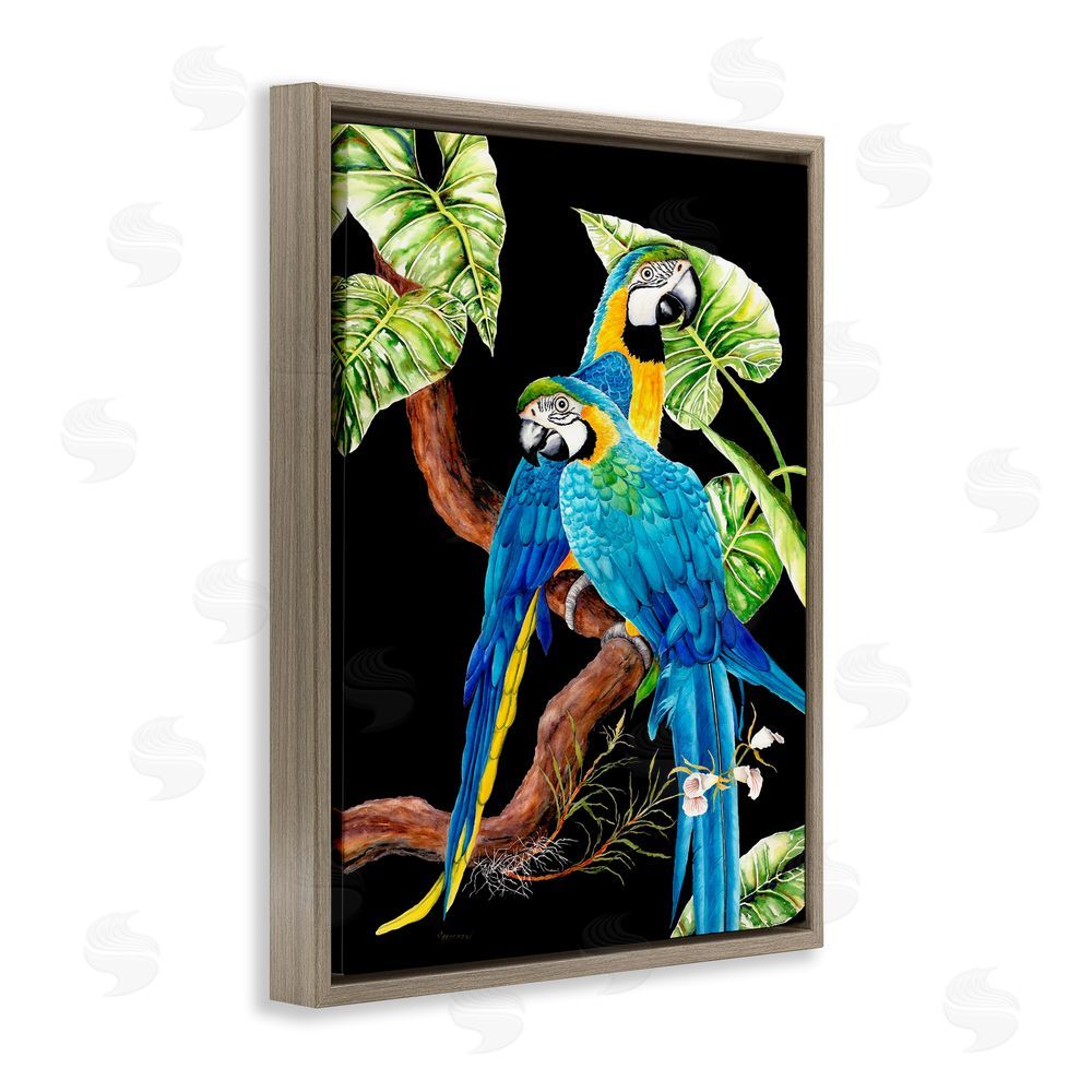 Christine Reichow Parrots Perched on Branch