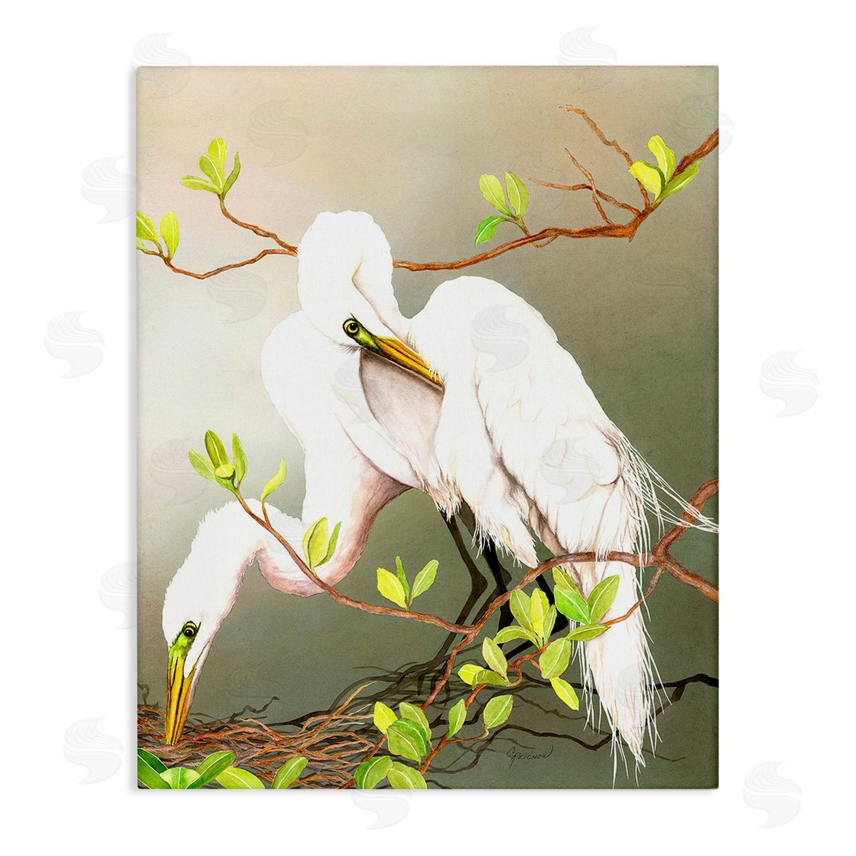 Christine Reichow Gazing Egrets on Branch