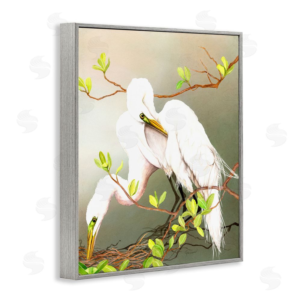 Christine Reichow Gazing Egrets on Branch