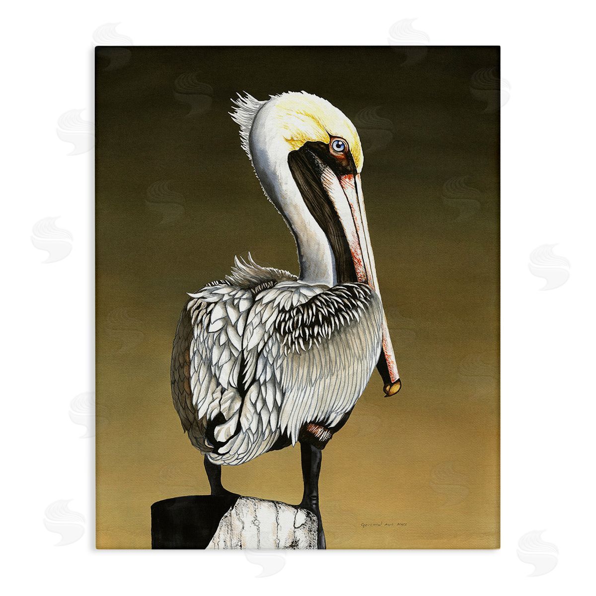 Christine Reichow Pelican with Intense Gaze