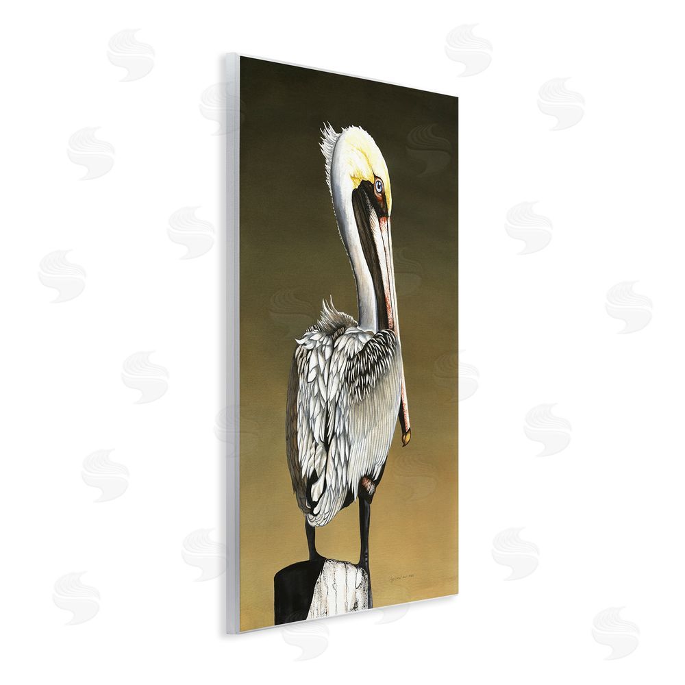 Christine Reichow Pelican with Intense Gaze