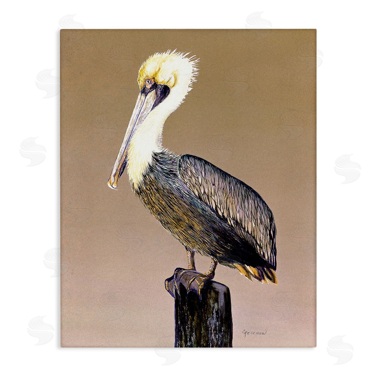 Christine Reichow Pelican on Perch