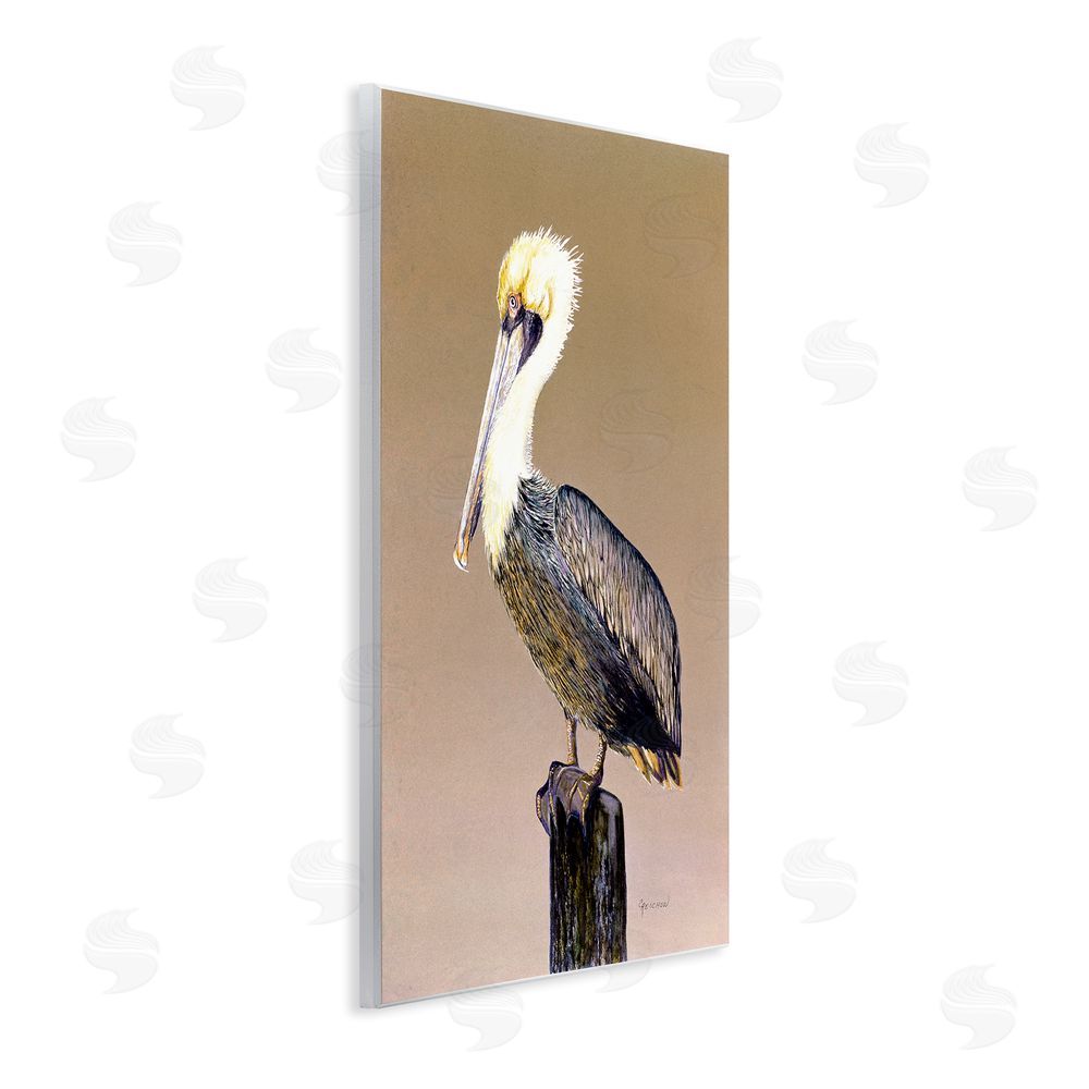 Christine Reichow Pelican on Perch