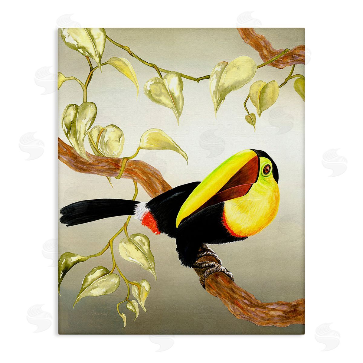 Christine Reichow Toucan Perched on Branch