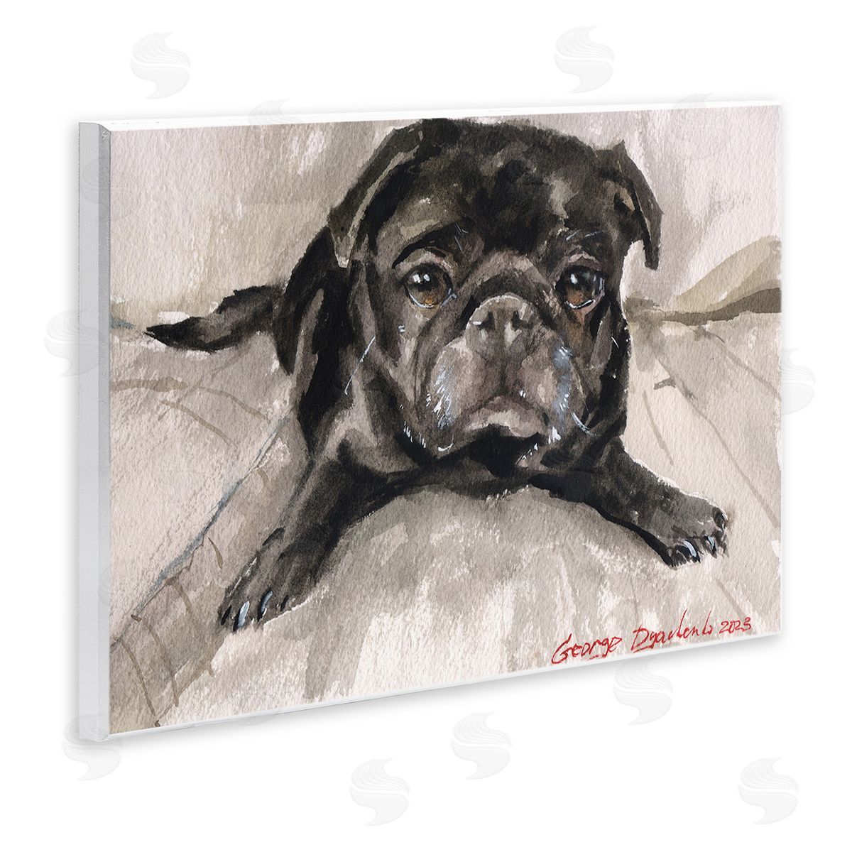 George Dyachenko Cozy Pug Relaxing