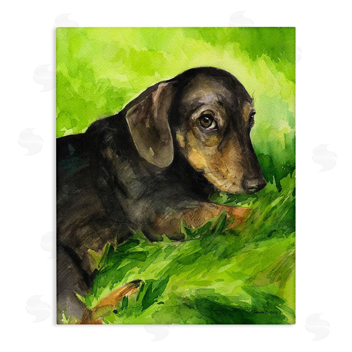 George Dyachenko Dachshund Relaxing in Grass