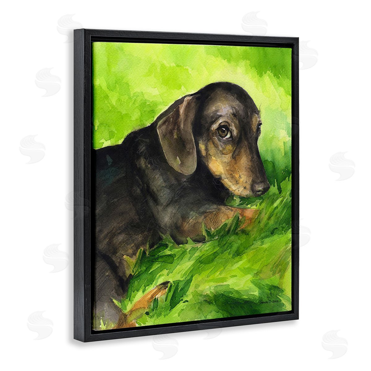 George Dyachenko Dachshund Relaxing in Grass