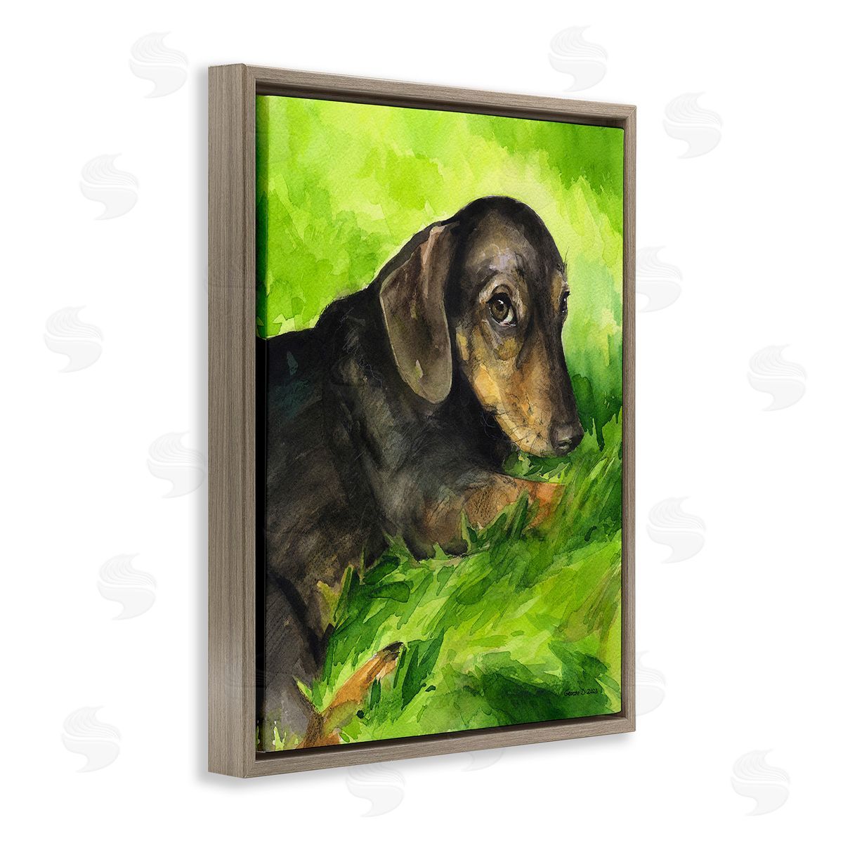 George Dyachenko Dachshund Relaxing in Grass