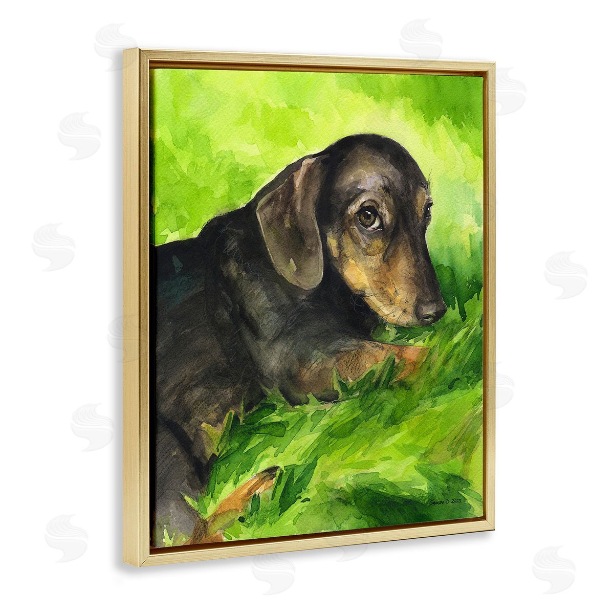 George Dyachenko Dachshund Relaxing in Grass