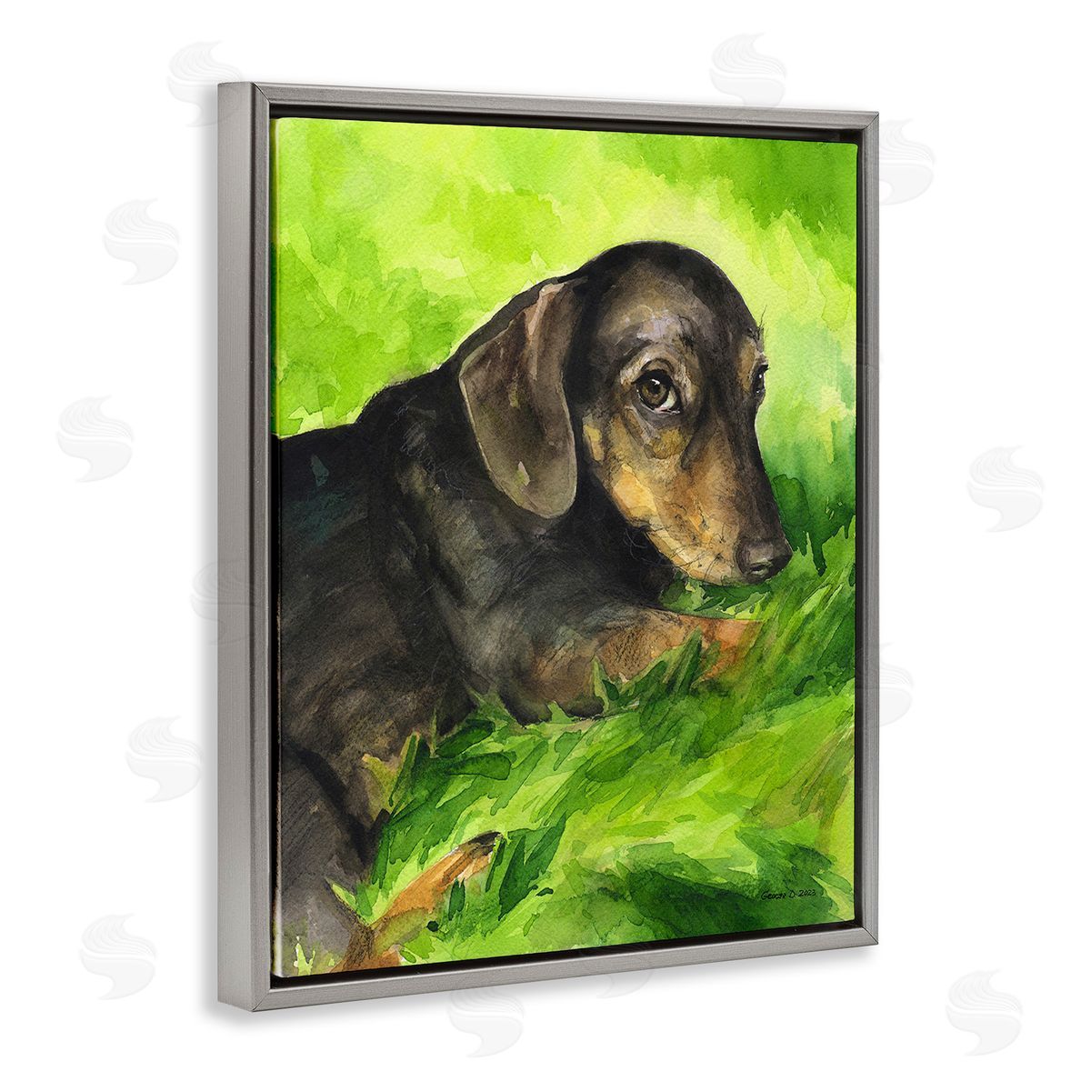 George Dyachenko Dachshund Relaxing in Grass