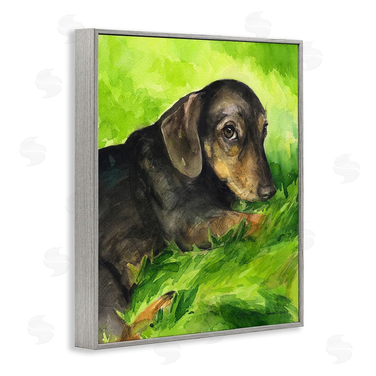 George Dyachenko Dachshund Relaxing in Grass