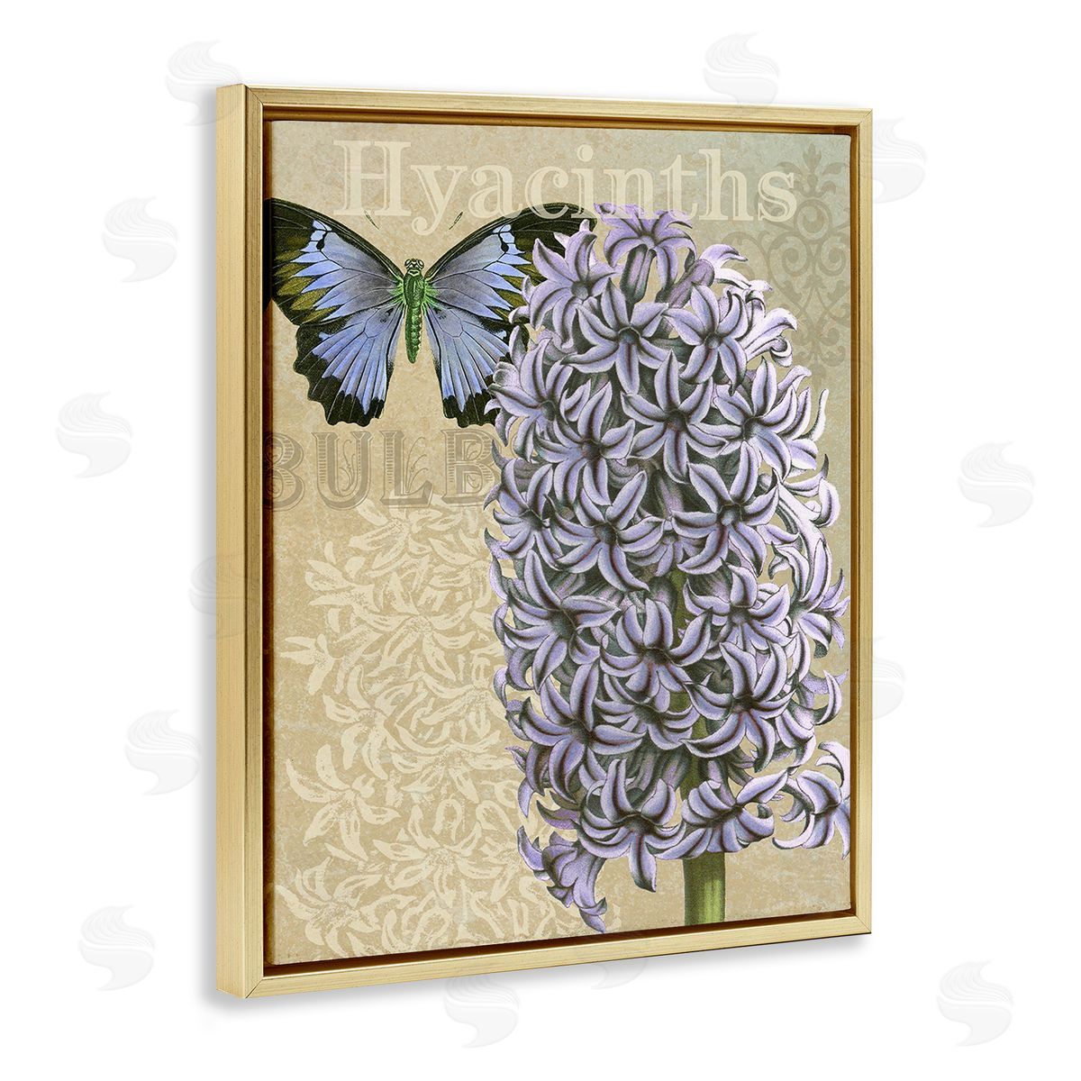 Gail fr_sideaser Hyacinth Pattern & Butterfly