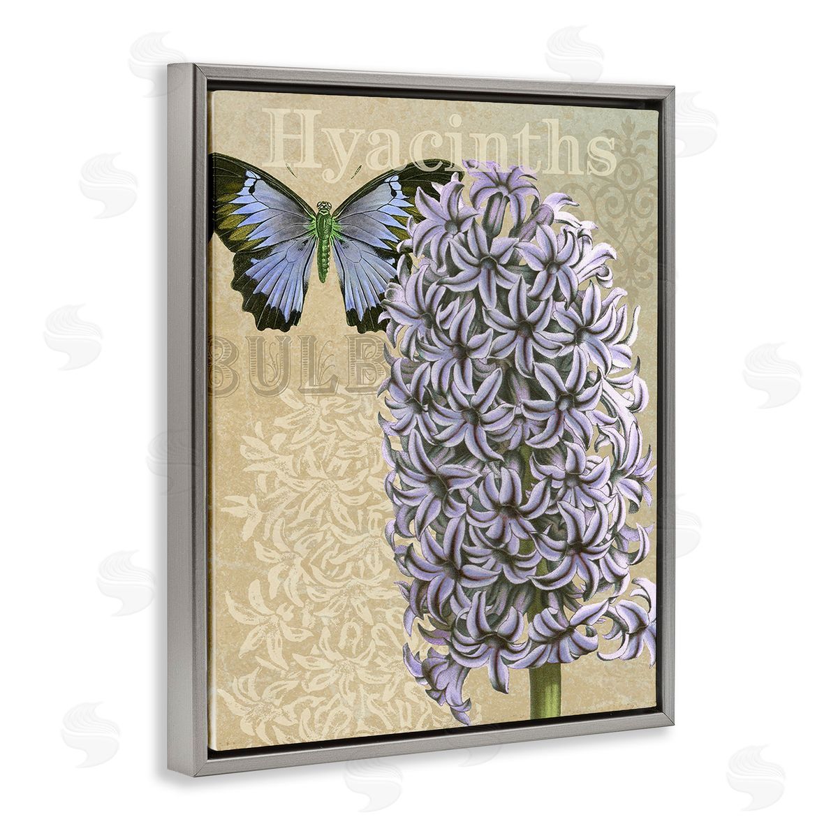 Gail fr_sideaser Hyacinth Pattern & Butterfly