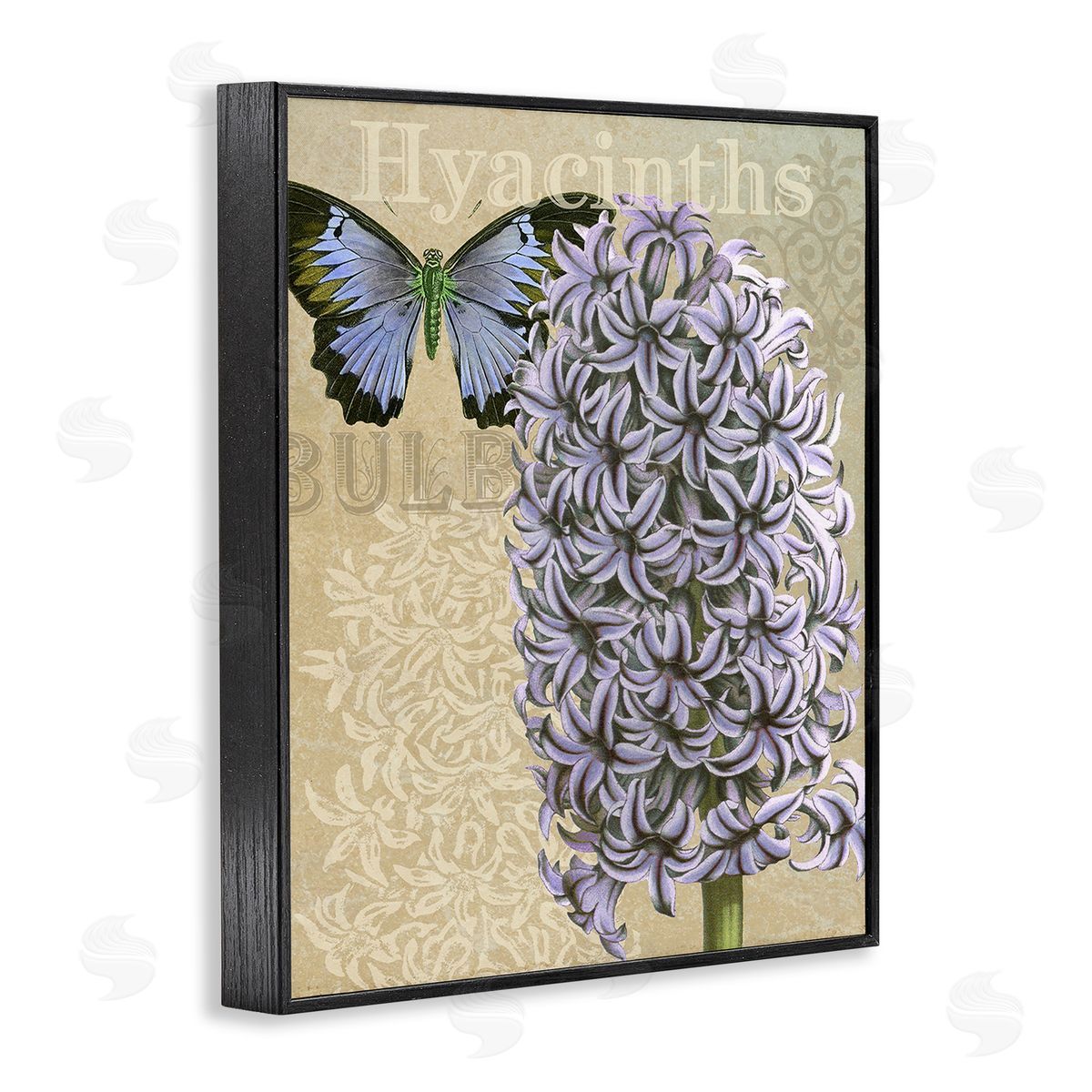 Gail fr_sideaser Hyacinth Pattern & Butterfly