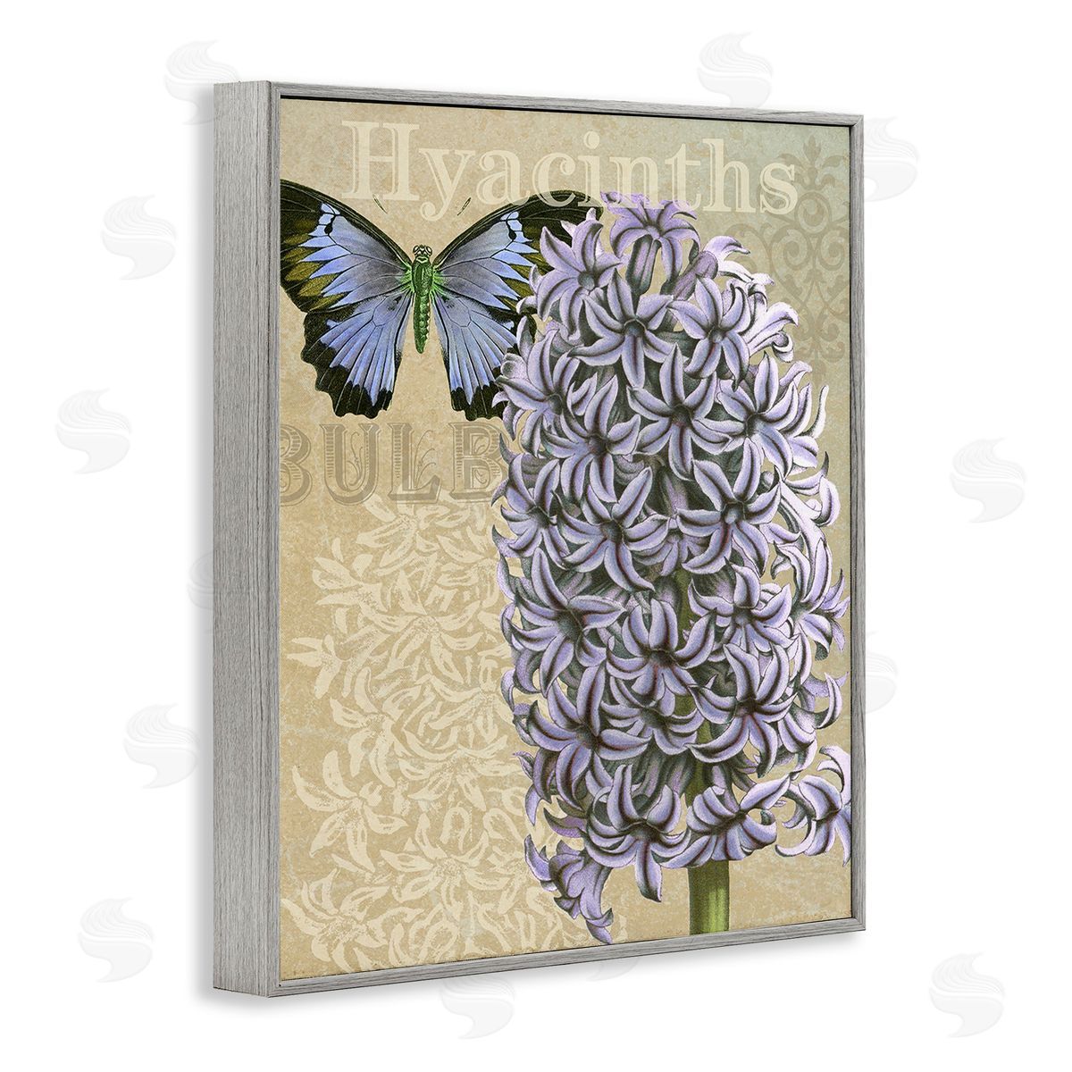 Gail fr_sideaser Hyacinth Pattern & Butterfly