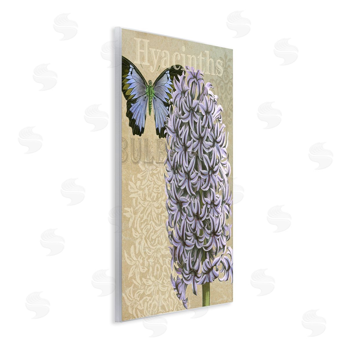 Gail fr_sideaser Hyacinth Pattern & Butterfly
