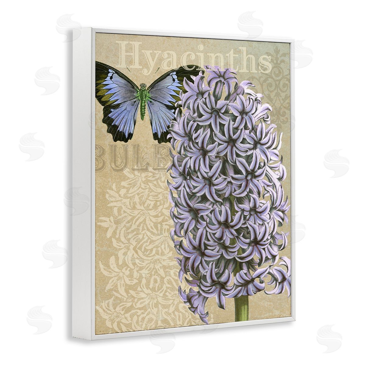 Gail fr_sideaser Hyacinth Pattern & Butterfly