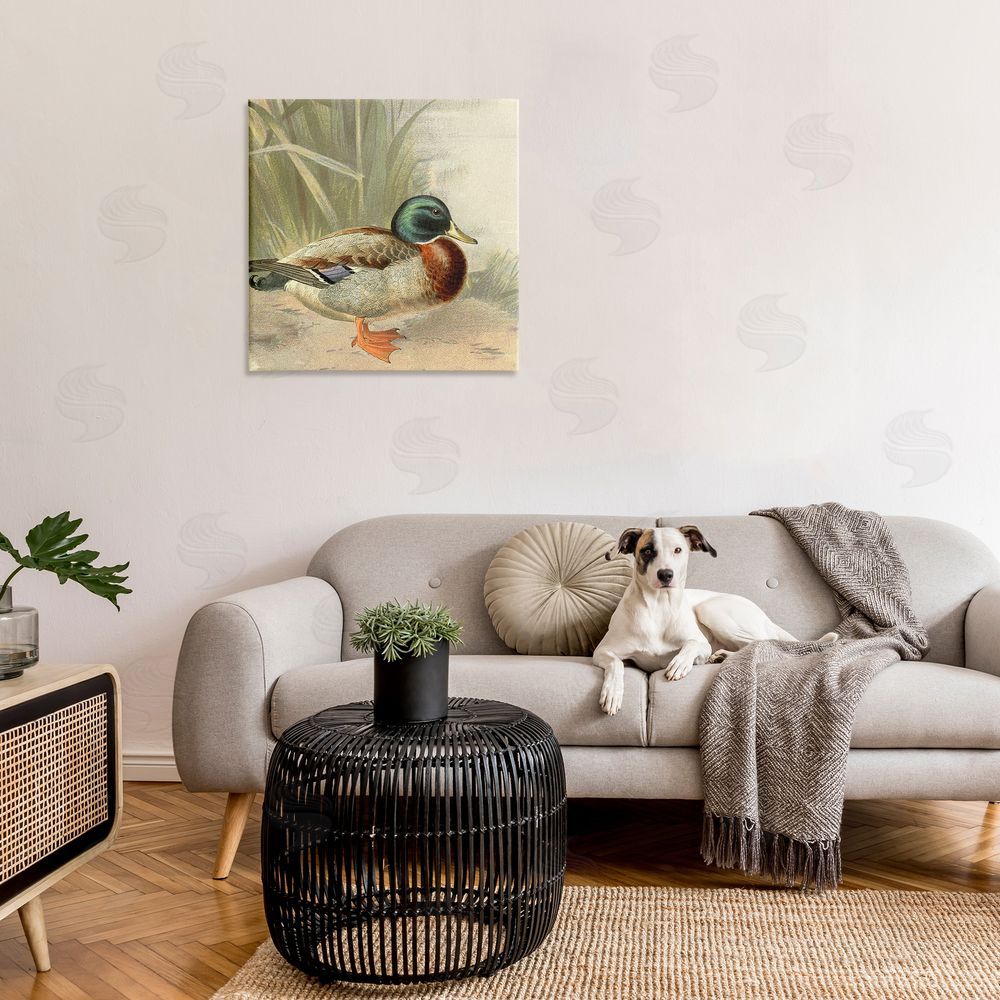 Gail Fraser Traditional Duck & Pond Canvas Wall Art in Room