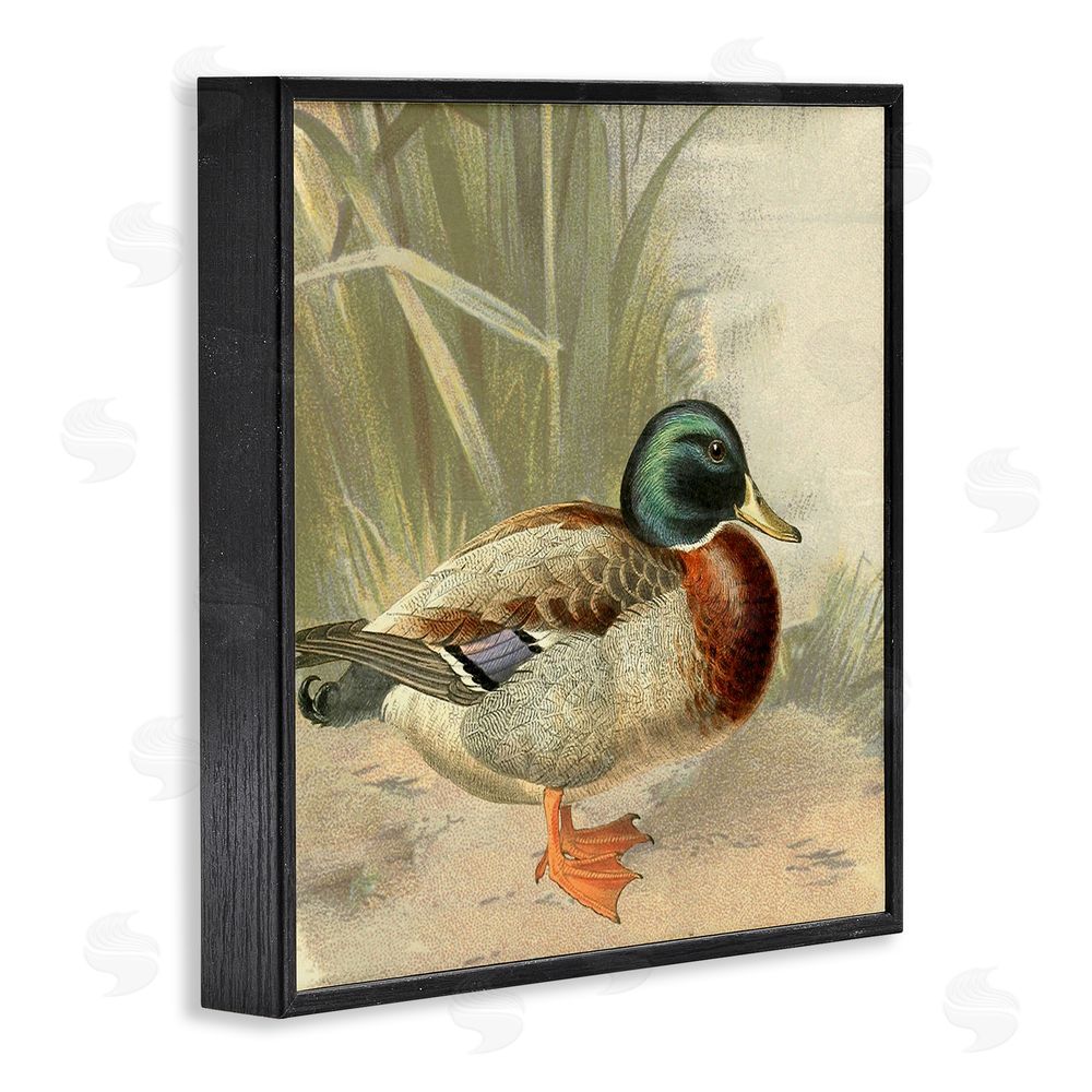 Gail Fraser Traditional Duck & Pond Black Framed Glicee Wall Art Print