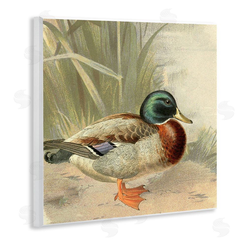 Gail Fraser Traditional Duck & Pond Wooden Wall Plaque Art Print