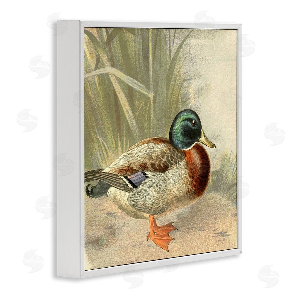 Gail Fraser Traditional Duck & Pond White Framed Glicee Wall Art Print