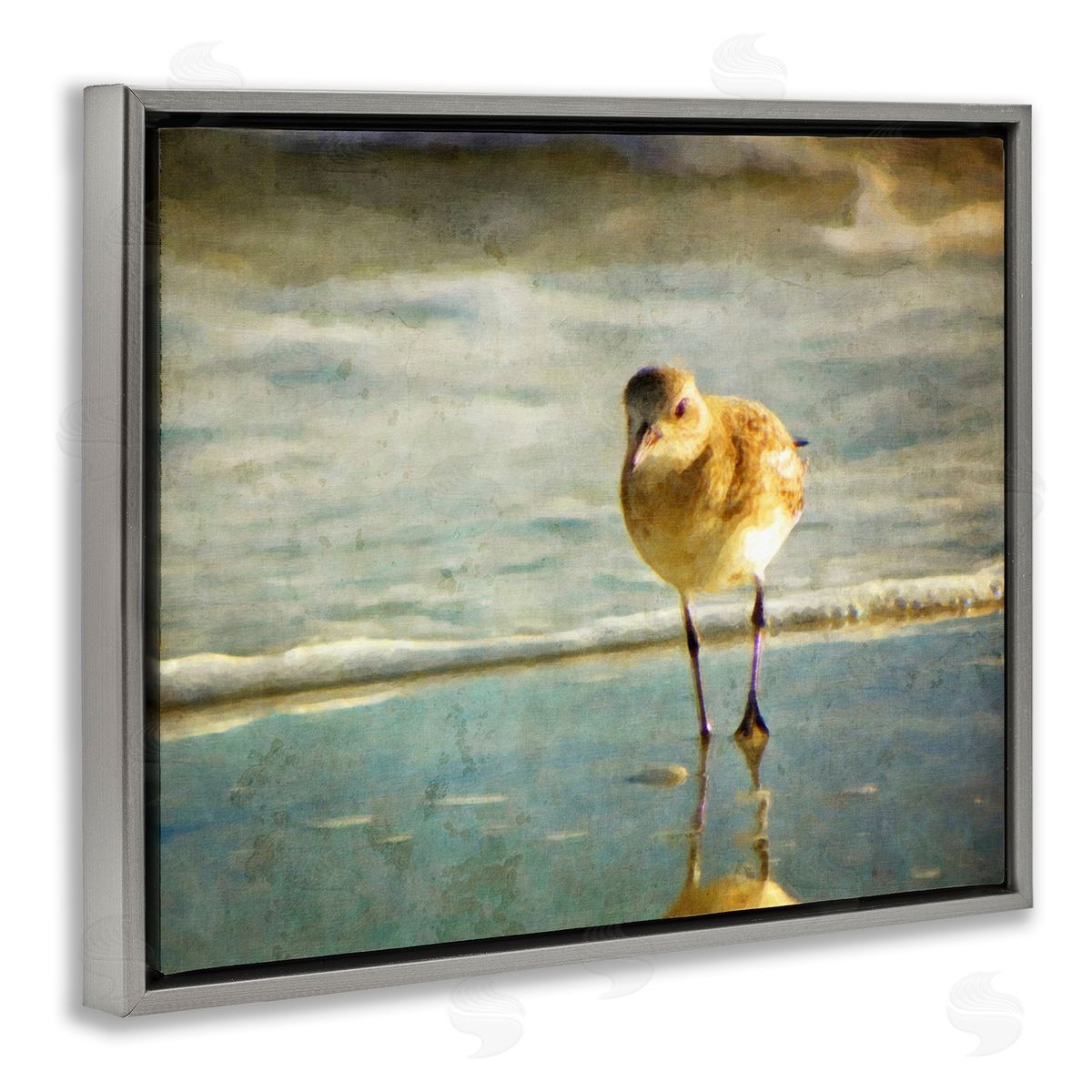 Graffitee Studios Stepping Sandpiper at Shore