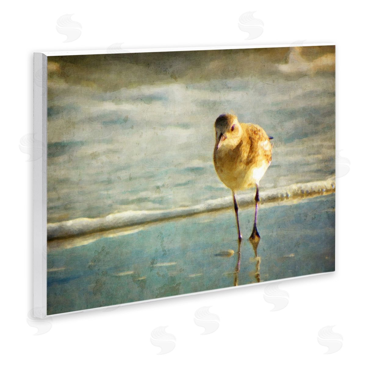 Graffitee Studios Stepping Sandpiper at Shore