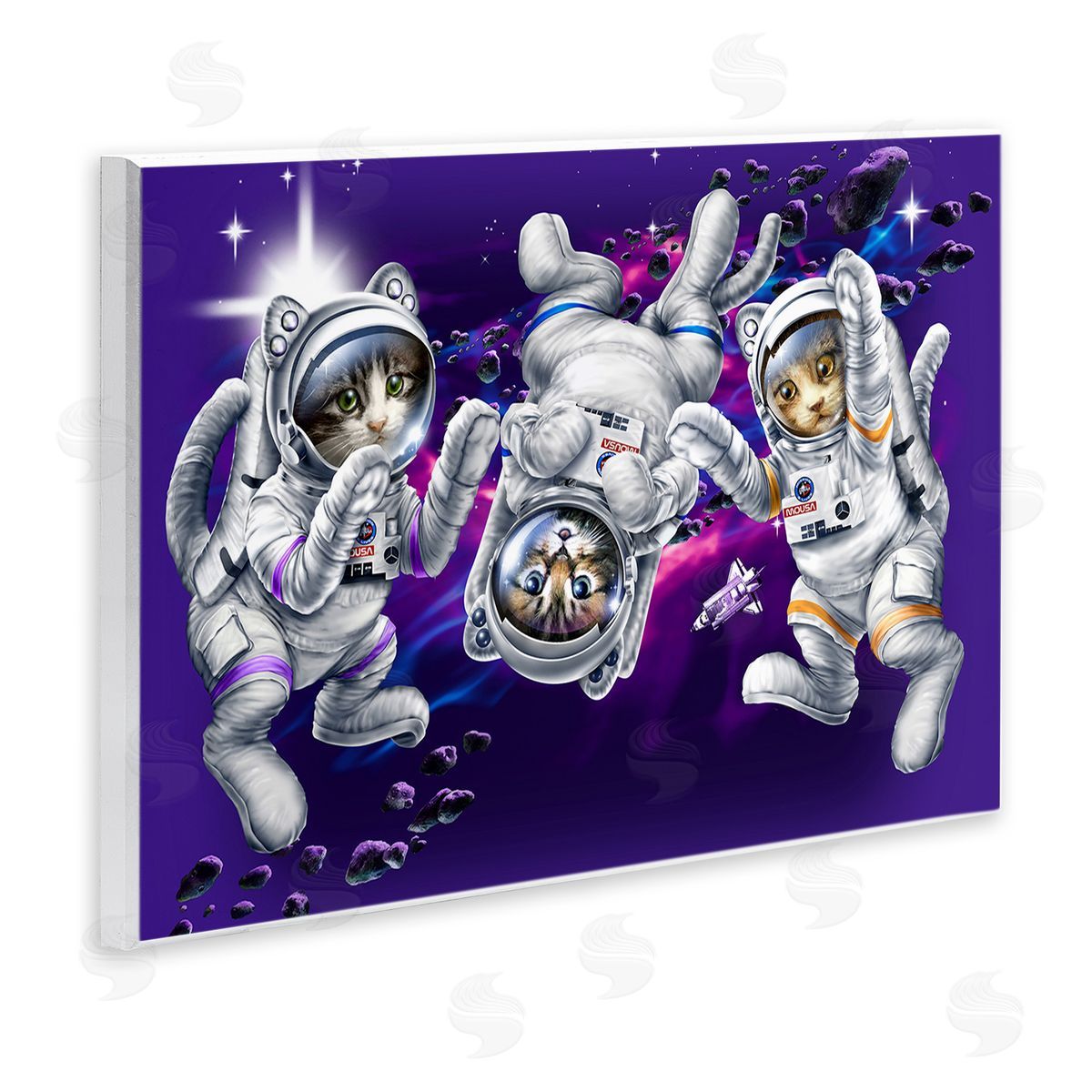 Jim Baldwin Astronaut Cat Trio