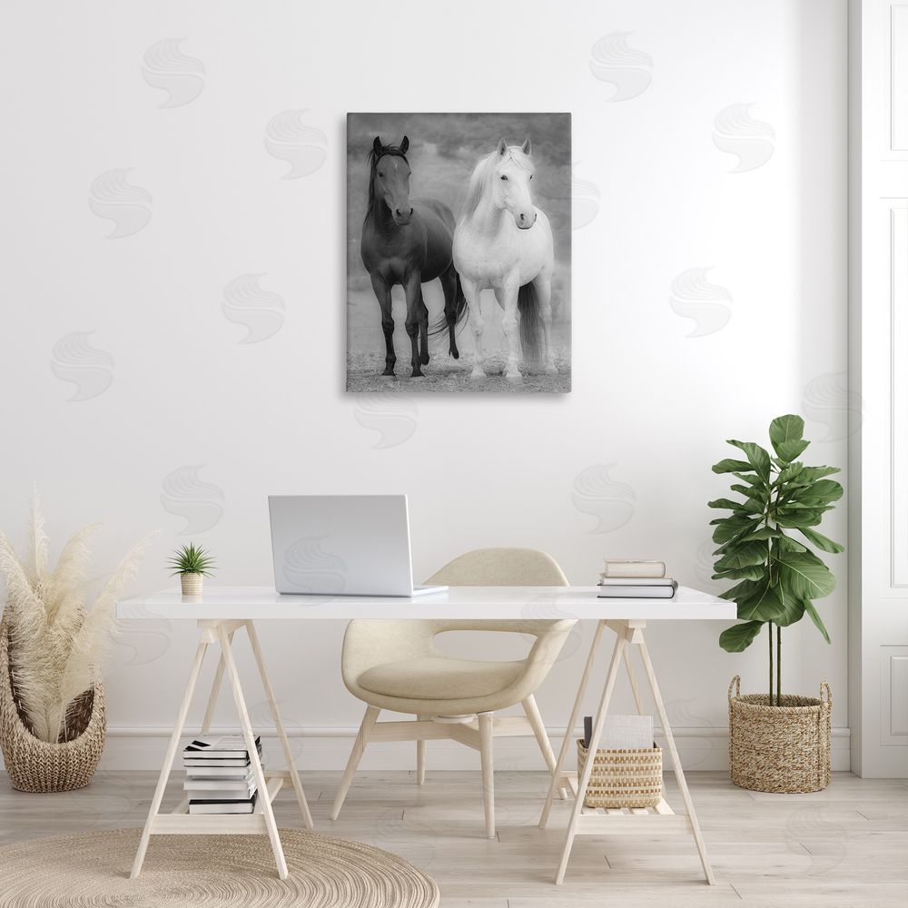 JG Studios White & Black Horses