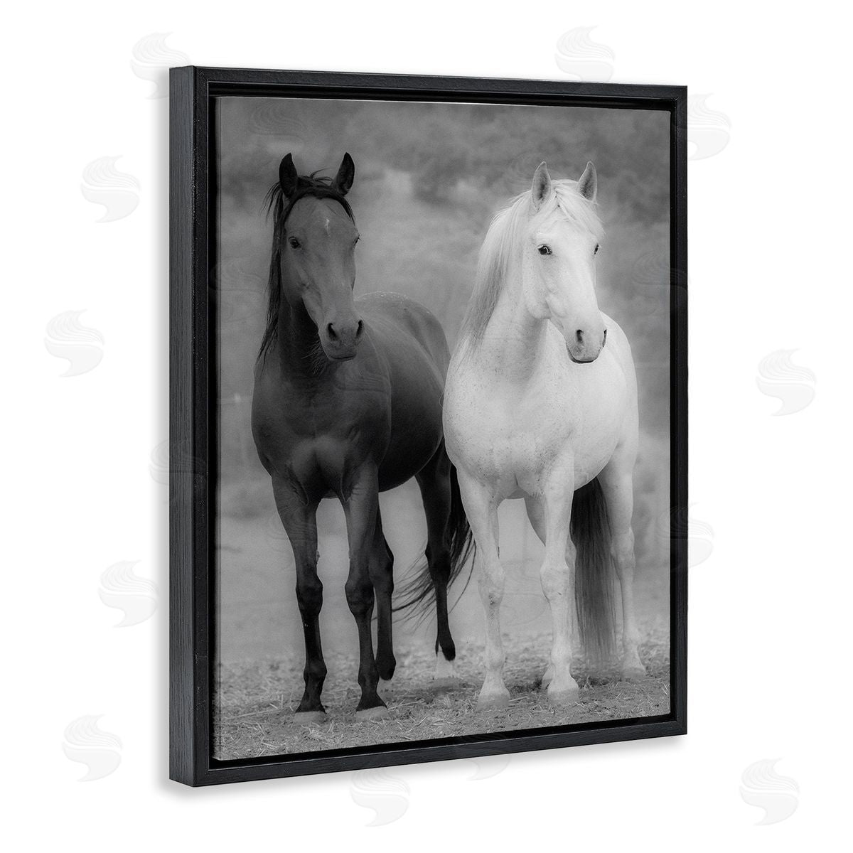 JG Studios White & Black Horses