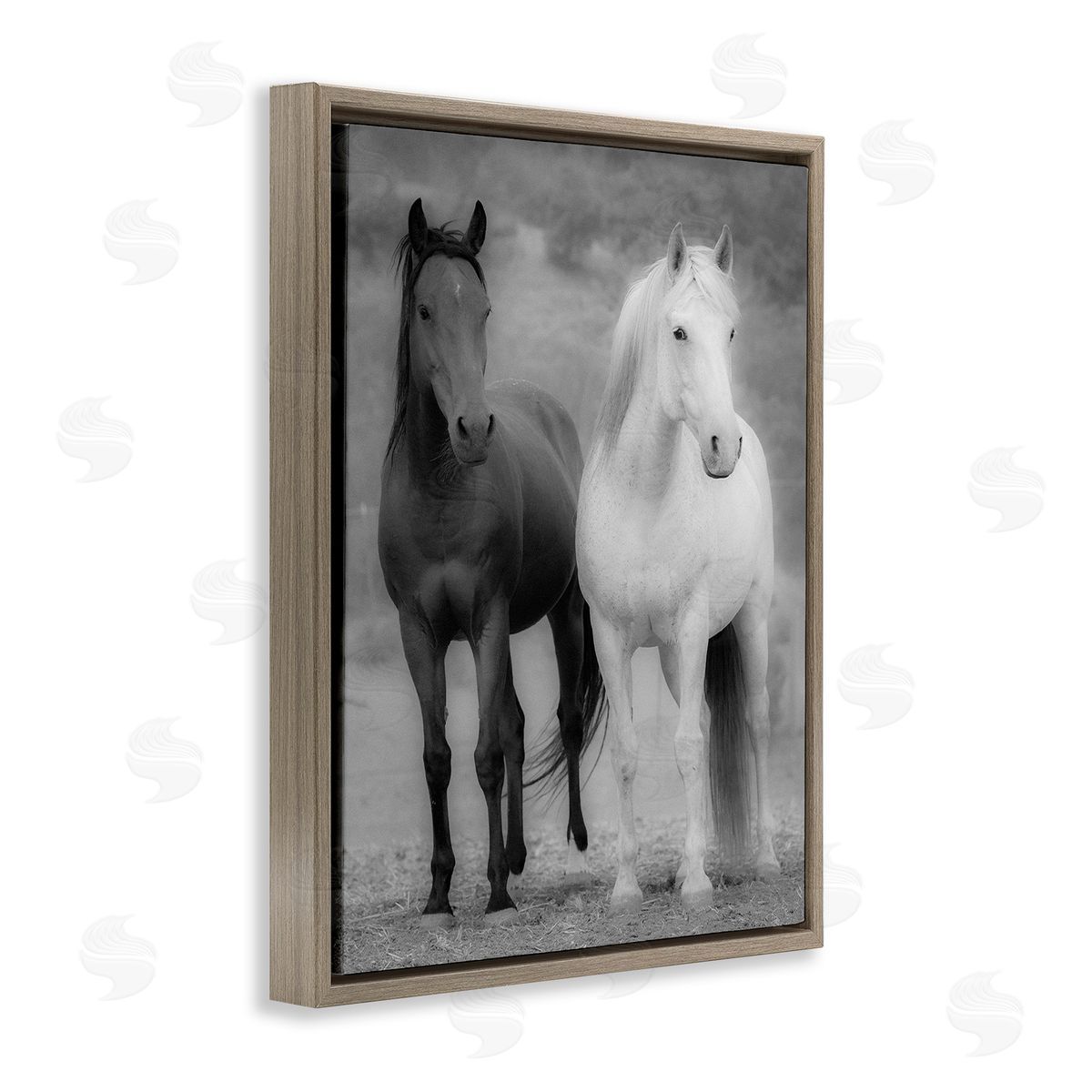 JG Studios White & Black Horses