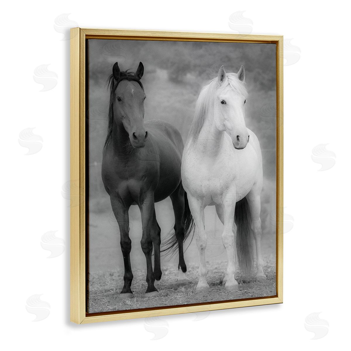 JG Studios White & Black Horses