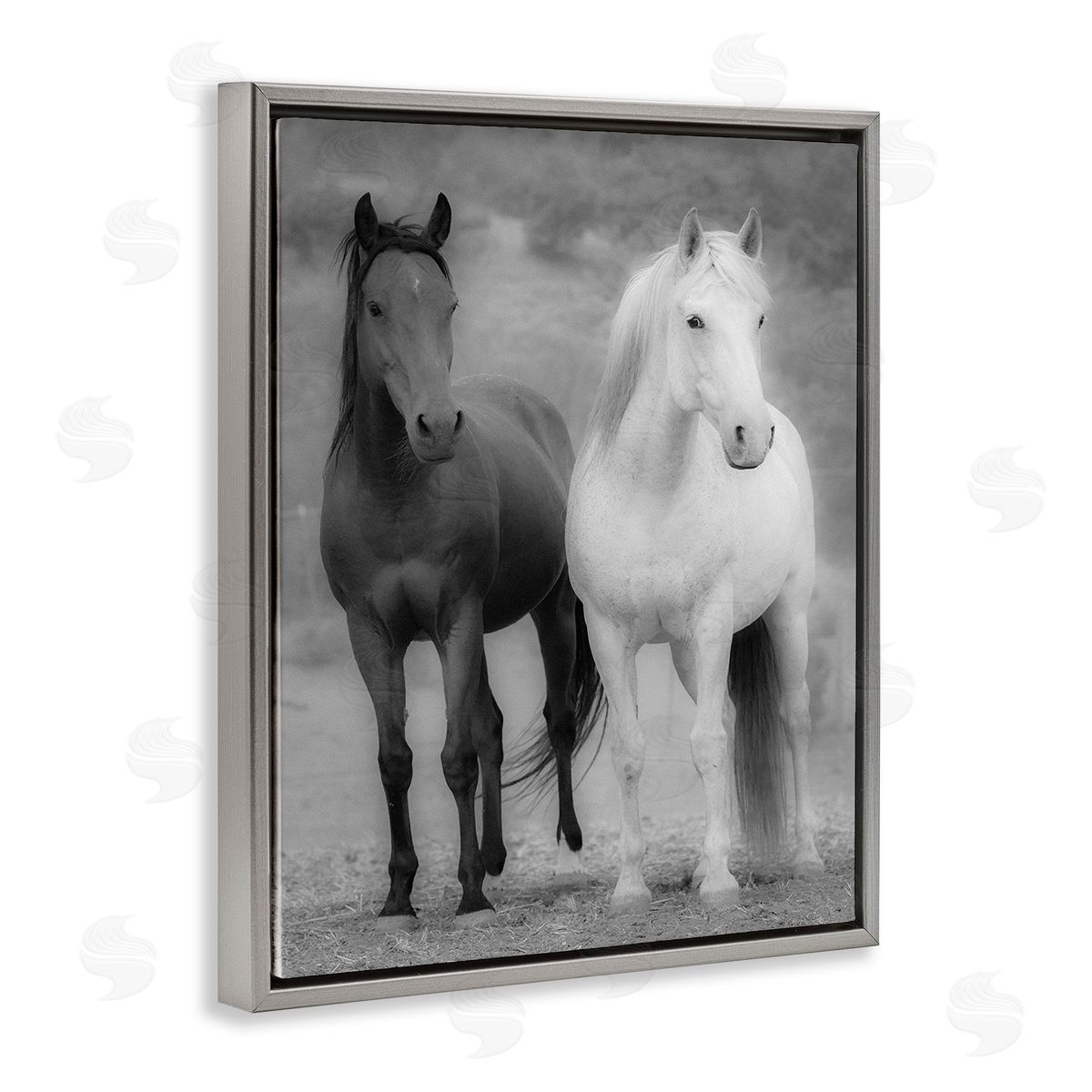 JG Studios White & Black Horses