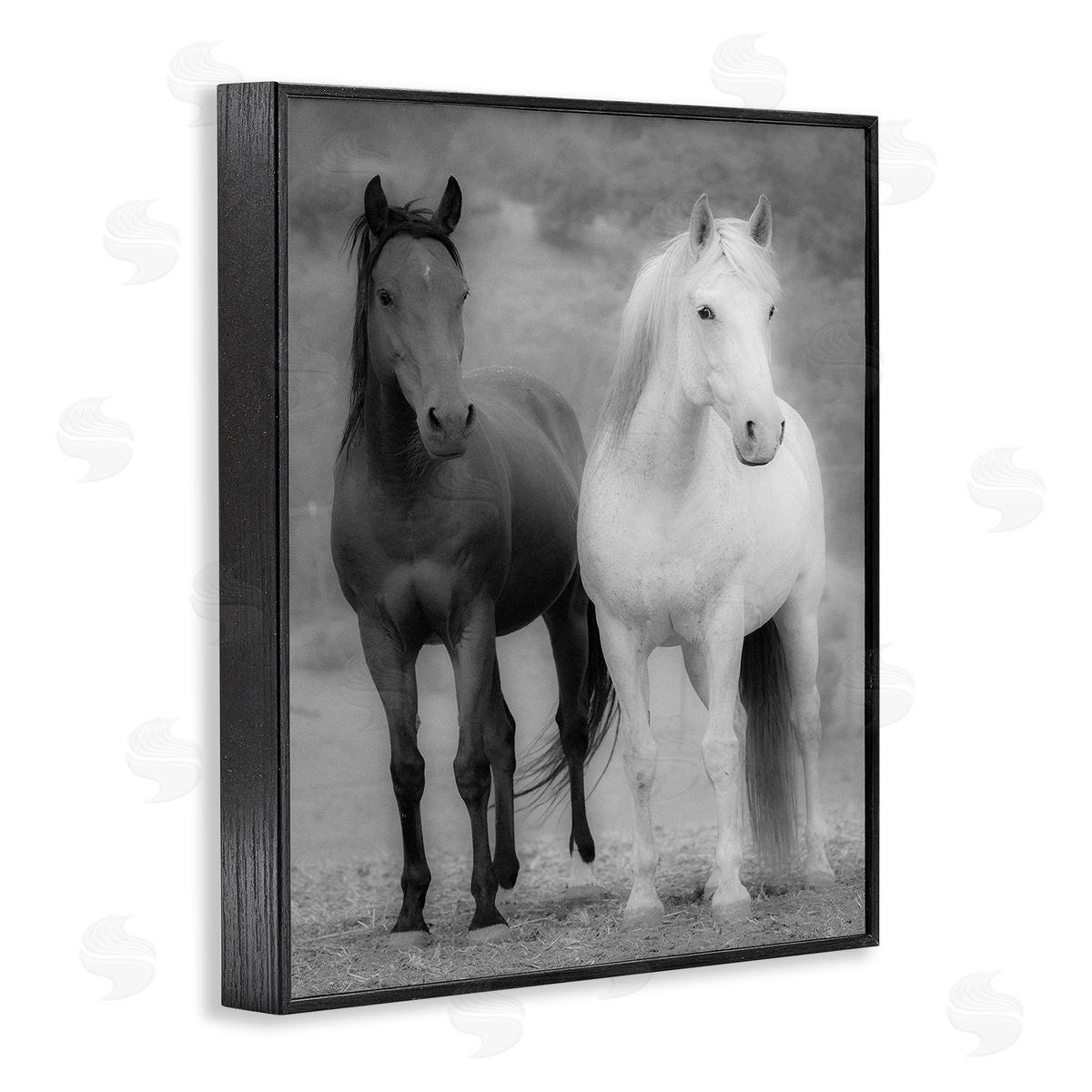 JG Studios White & Black Horses