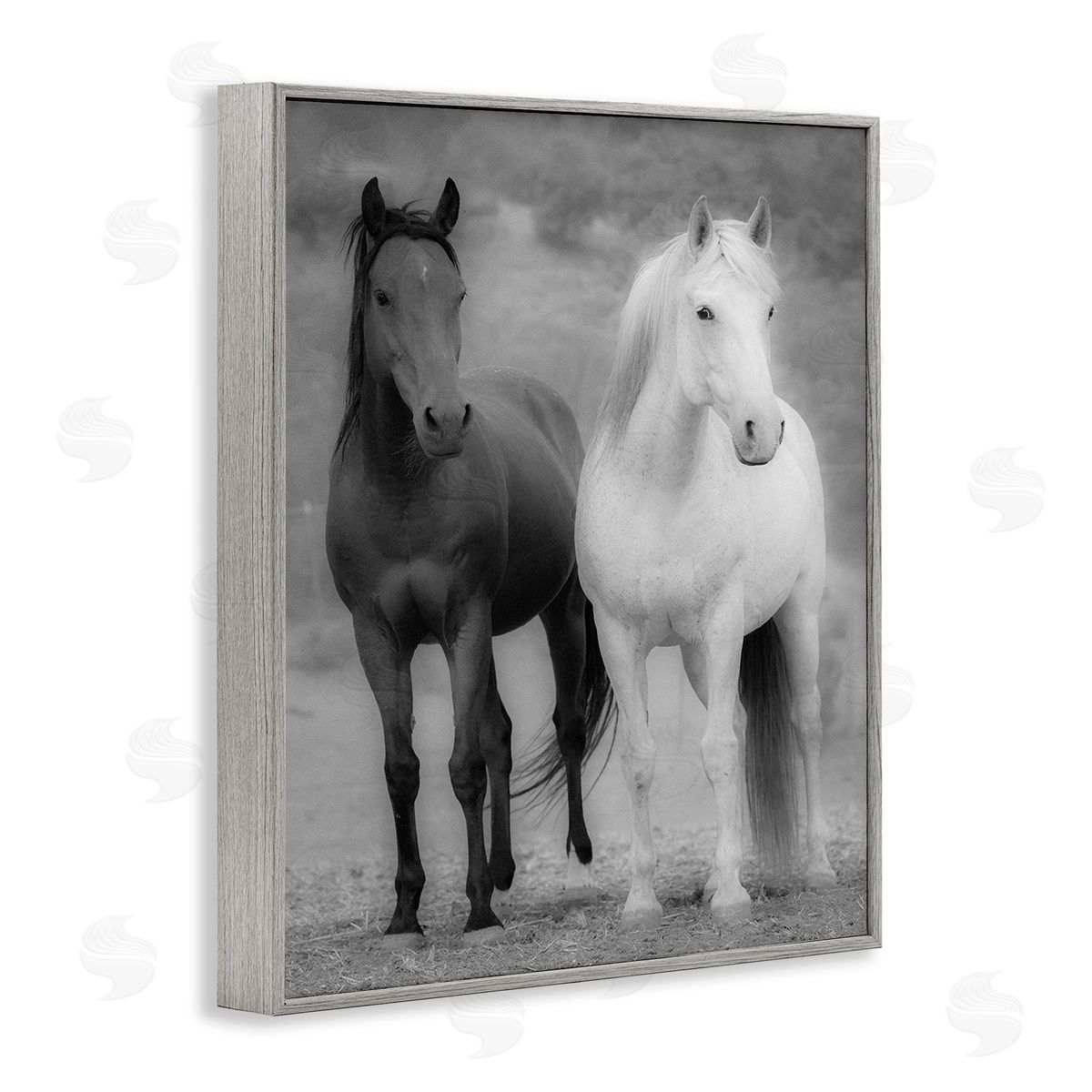 JG Studios White & Black Horses