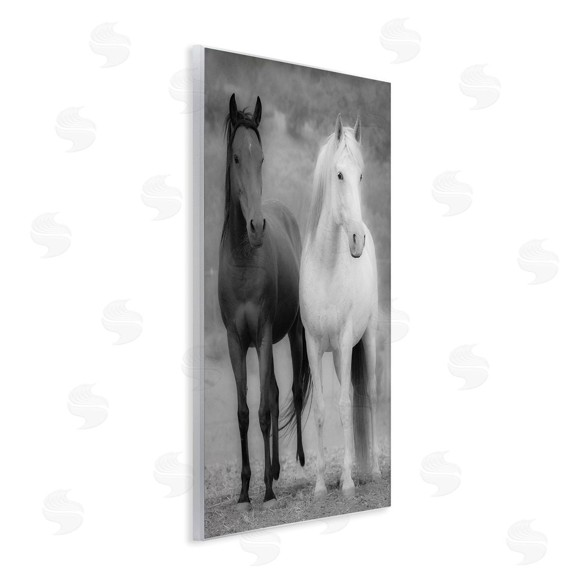 JG Studios White & Black Horses