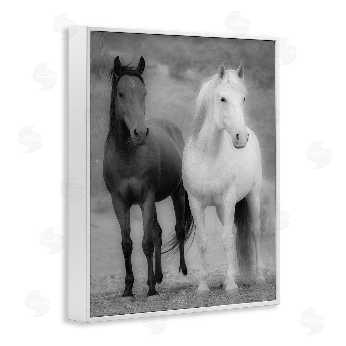 JG Studios White & Black Horses