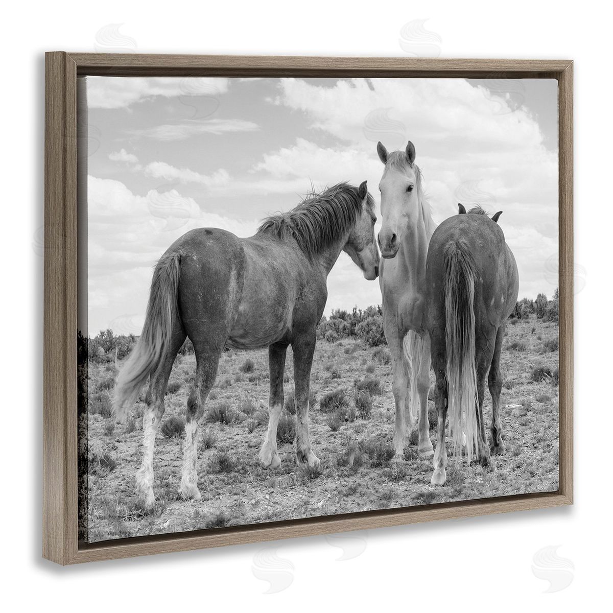 JG Studios Horse Trio in Desert