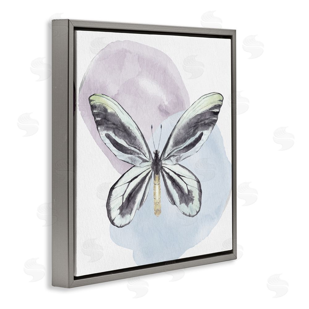 Kim Allen Butterfly with Pastel Shapes Gray Floating Frame Canvas Wall Art Print